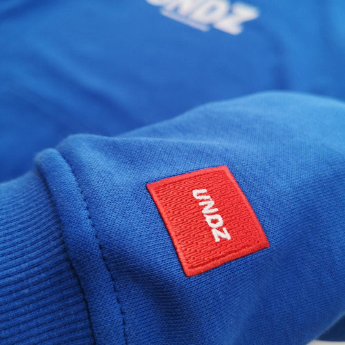 STRIPES HOODIE BLUE by UNDZ - UNDZ Canada